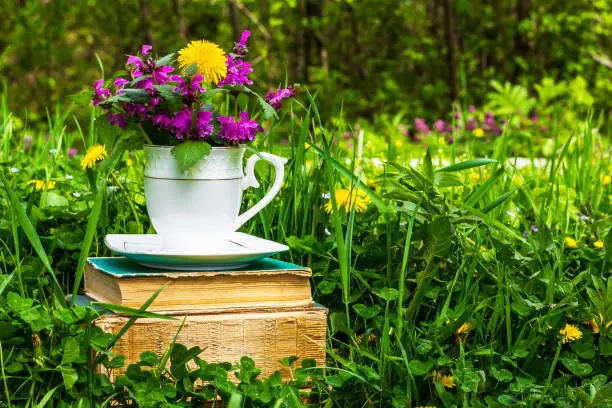 a white tea cup with a bouquet of wildflowers on a stack of old books in a meadow with green grass on a sunny spring or summer morning