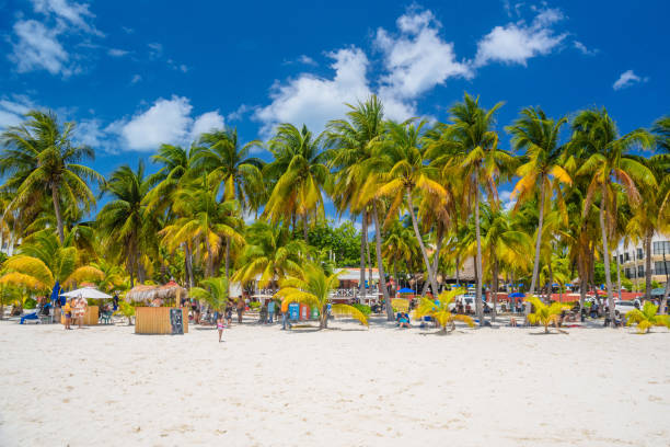 화창한 날에는 하얀 모래와 손바닥이있는 해변의 코코스 비치 바, isla mujeres 섬, 카리브해, 칸쿤, 유카탄, 멕시코 - isla mujeres mexico beach color image 뉴스 사진 이미지