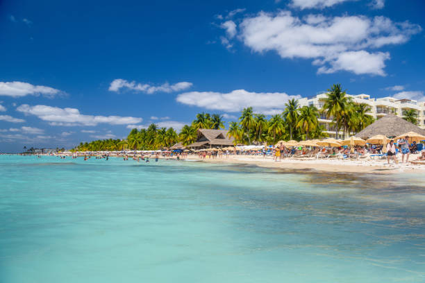 우산, 방갈로 바 및 코코스 야자수, 청록색 카리브해, 이슬라 무헤레스 섬, 카리브해, 칸쿤, 유카탄, 멕시코가있는 하얀 모래 해변 근처에서 수영하는 사람들 - isla mujeres mexico beach color image 뉴스 사진 이미지