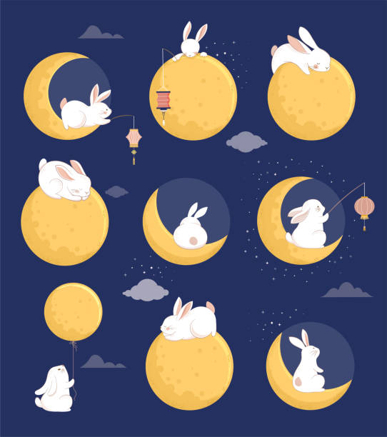 mid autumn festival concept design with cute rabbits, bunnies and moon illustrations. chinese, korean, asian mooncake festival celebration - mooncake 幅插畫檔、美工圖案、卡通及圖標