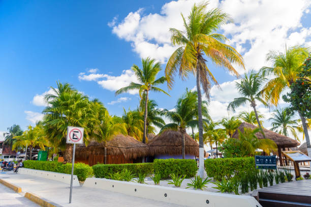 해변의 코코스 야자수 그림자에있는 방갈로, isla mujeres 섬, 카리브해, 칸쿤, 유카탄, 멕시코 - isla mujeres mexico beach color image 뉴스 사진 이미지