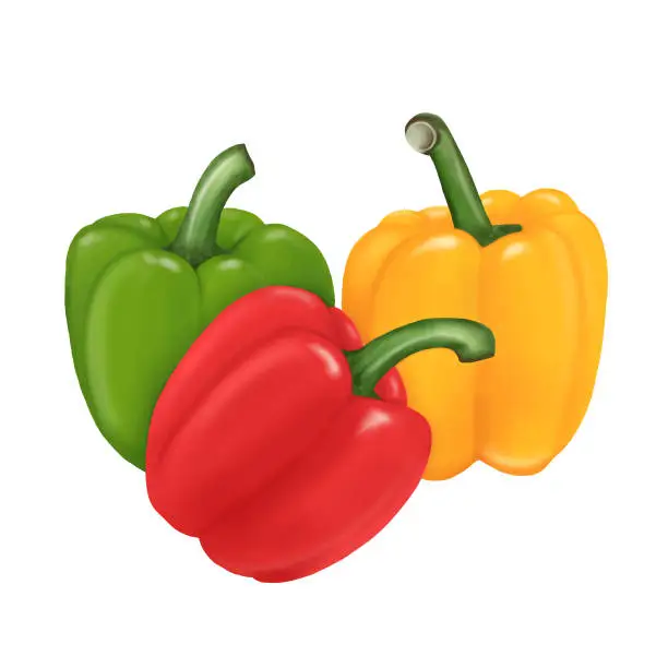 Vector illustration of Sweet bell peppers in a group