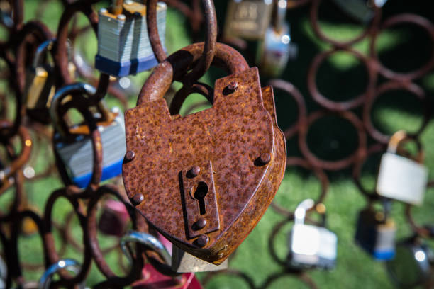 Locks of Love