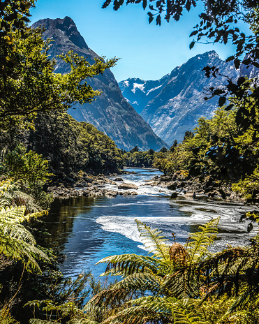 Powerful waterfall flowing into the ocean from the mountains and fiords of picturesque Milford Sound, New Zealand.