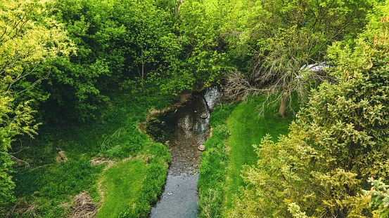 A small stream flows during the summer season with vibrant green trees around it
