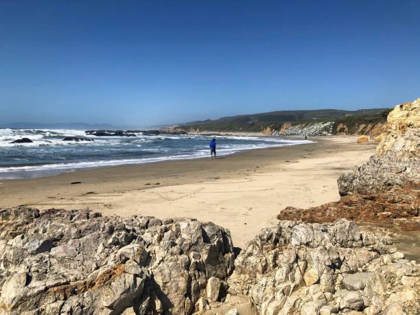 istock Unrecognizable man walking along Northern California shoreline 1409604656
