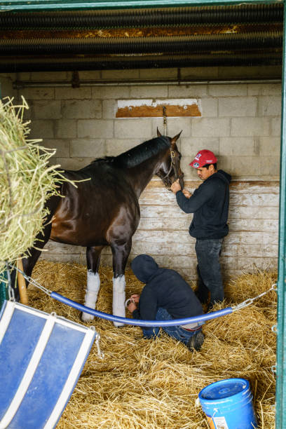 horse care - car people men barn stock-fotos und bilder