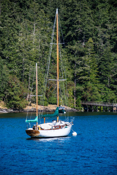 Sailboat on mooring buoy  - West Sound, Orcas Island, WA