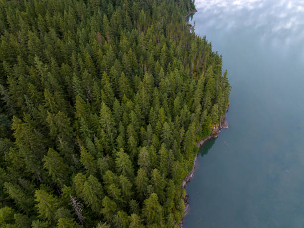 istock Aerial view of a shoreline 1409609293