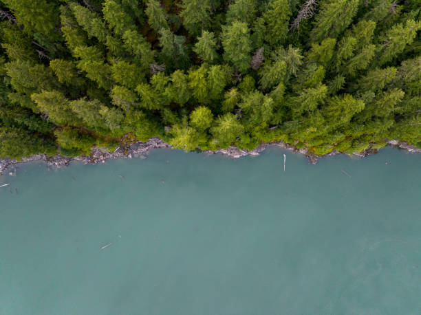 istock Top down view of a beautiful shoreline 1409609341