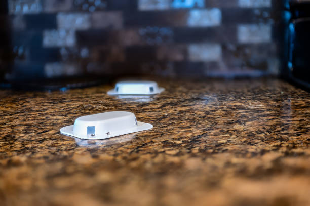 istock Ant trap poison bate on a granite kitchen countertop 1409609384