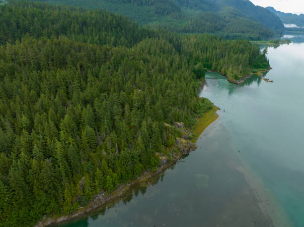 istock Aerial view of a beautiful shoreline 1409609412
