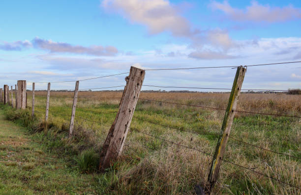 istock rural fence in field against sky 1409611634