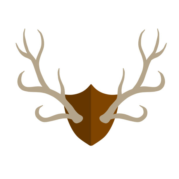 ilustrações de stock, clip art, desenhos animados e ícones de horn of deer. hunting trophy. - stuffed