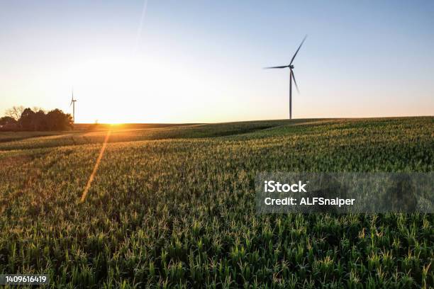The Wind Turbine On The Corn Field On Time The Sunset Stock Photo - Download Image Now