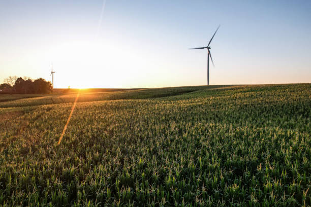 turbina wiatrowa na polu kukurydzy na czas zachodu słońca - illinois farm wind wind power zdjęcia i obrazy z banku zdjęć