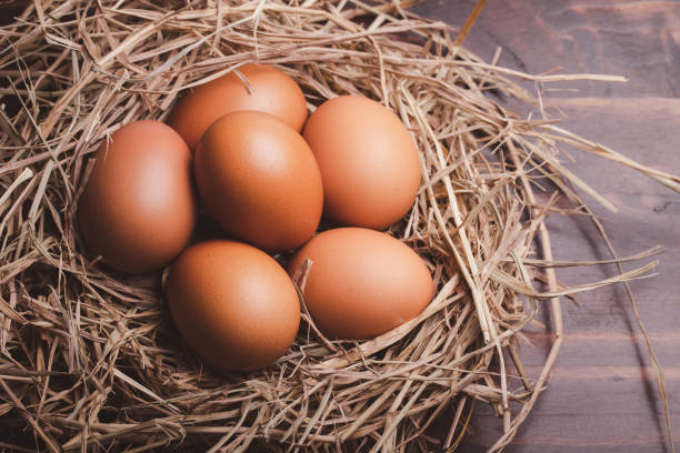 istock fresh chicken eggs in straw on wooden background 1409616798