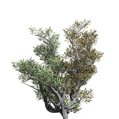 3D illustration fantasy tree isolated on white background