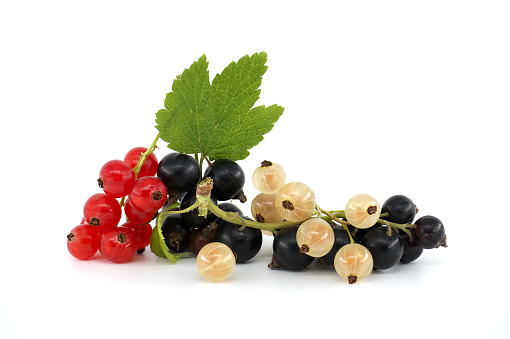 Red currant with green leaves isolated on the white background.