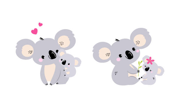 illustrations, cliparts, dessins animés et icônes de adorable koala arboreal australian animal avec oreilles rondes et little baby cub vector set - koala australia cute animal
