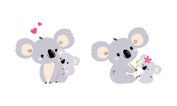 둥근 귀와 작은 아기 새끼 벡터 세트를 가진 사랑스러운 코알라 수목 호주 동물 - koala australian culture cartoon animal stock illustrations