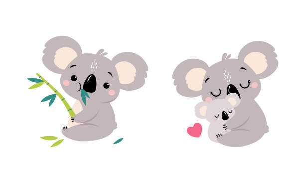 사랑스러운 코알라 수목 호주 동물 둥근 귀는 유칼립트와 포옹 아기 벡터 세트 - koala australian culture cartoon animal stock illustrations