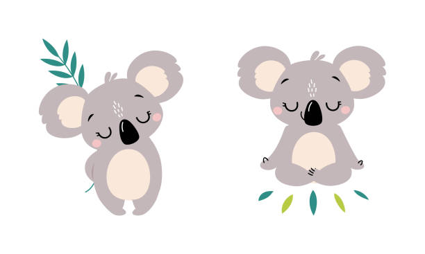 очаровательное древесное австралийское животное коала с круглыми ушами с эвкалиптовой ветвью и медитация в векторном наборе позы йоги - koala australian culture cartoon animal stock illustrations
