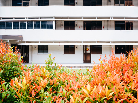 Front view of housing apartments in Singapore with beautiful greenery.