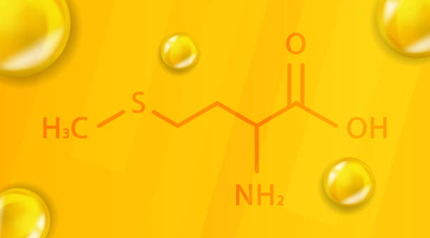 Methionine chemical formula. Methionine 3D Realistic chemical molecular structure Methionine chemical formula. Methionine 3D Realistic chemical molecular structure. Vector illustration lysine stock illustrations