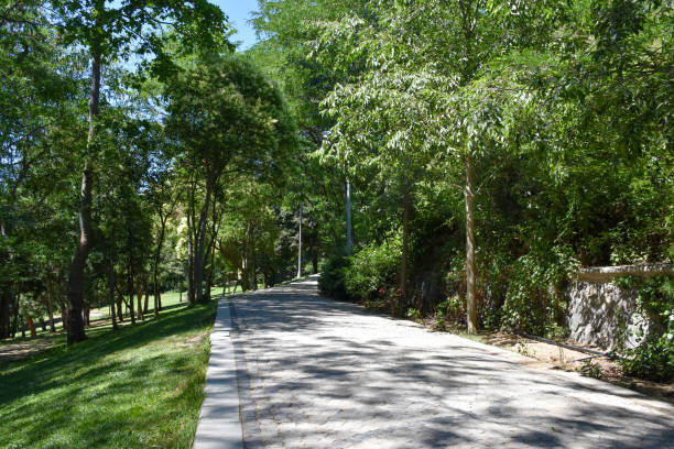 public park cobblestone footpath - 11305 imagens e fotografias de stock