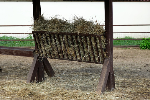 Horse feeder hay. Rural scene. Convenient feeder for cattle.
