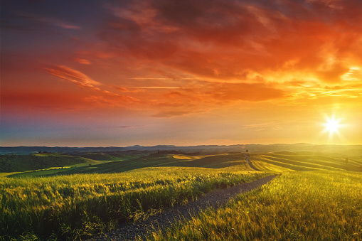 Sunset on a beautiful flowering meadow. Dramatic sky with sunbeams.