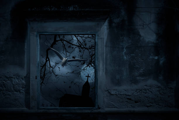 istock Halloween mystery concept 1409636904