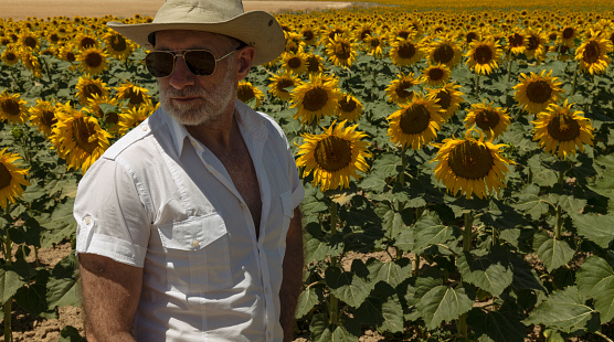 Adult man in cowboy hat and sunglasses in sunflowers fields. Castilla y Leon, Spain