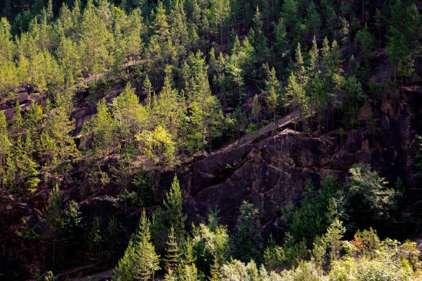 istock Summer landscape, forested mountain slope, rocks, sun rays. 1409638005