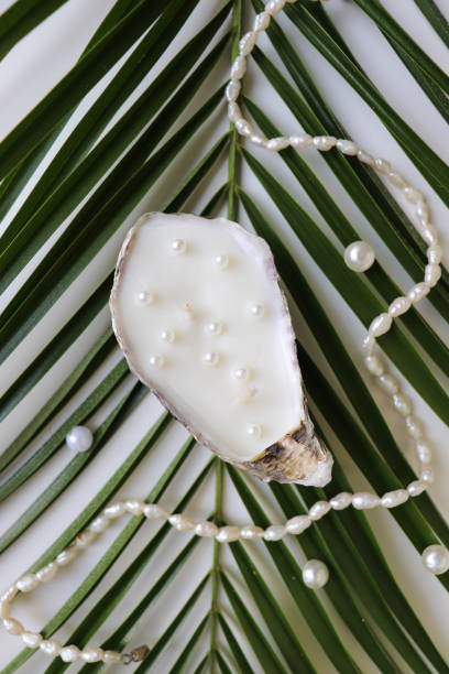 istock straw hat, palm leaf and sea shells on white background 1409639828