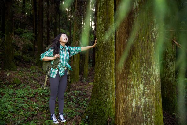Woman Hiking in Forest