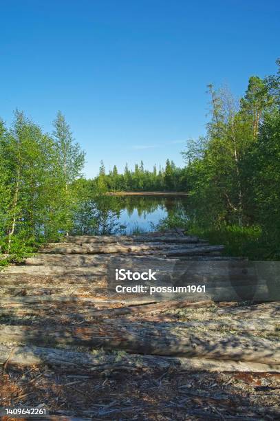 An Old Abandoned Path Once Used For Timber Rafting Stock Photo - Download Image Now