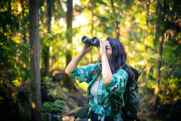 istock Young woman usng binoculars in forest 1409644019