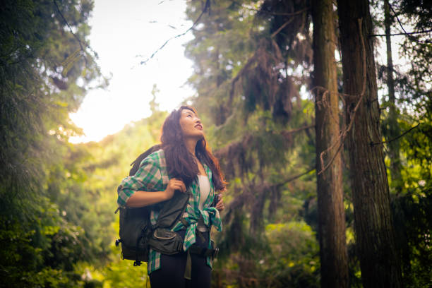 Traveler hiking in forest