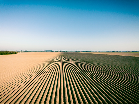 Prepared soil for planting crops during a sunny and dry springtime day. Aerial view drone view from above.