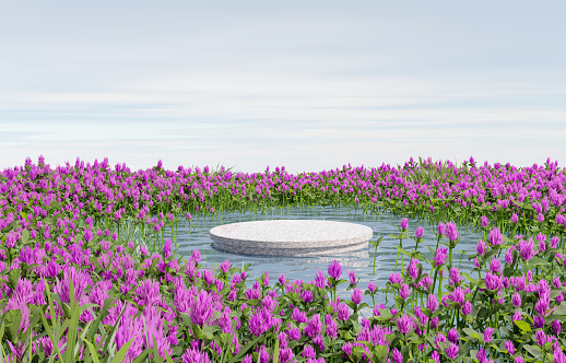 Platform and beauty Natural podium on the lake with violet bloom flowers backdrop sky and cloud for product display and showcase.  landscape scene background 3d rendering