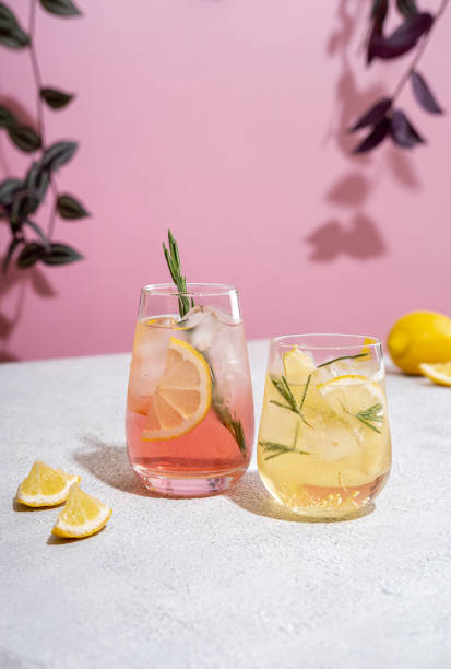 Letnie orzeźwiające koktajle bezalkoholowe. Lemoniada ozdobiona świeżym rozmarynem. Letni napój z wodą gazowaną i plasterkami cytryny. – zdjęcie