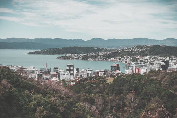 A wide landscape of wellington city on a day with minimum clouds. It has lots of buildings but shows a lot of the cities nature.