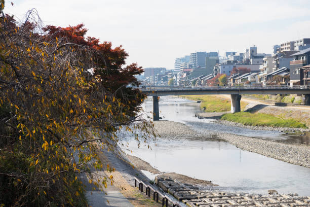 istock Scenery of Kamo River 1409650893