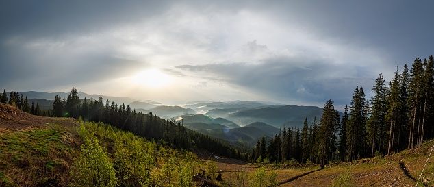 Panorama on cold cloudy weather over low hills covered with spruce evergreen forests in Rhodope Mountains against backdrop of dark sunless sky, and mystical thick white fog between mountain ranges