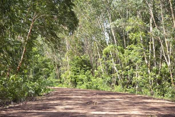 istock gravel road. 1409658498
