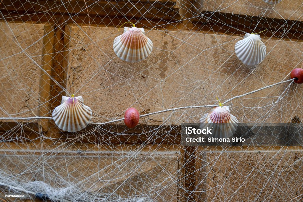 Close-up of a fishing net hanging on an old wall with Mediterranean scallops (Pecten jacobaeus) shells, Rapallo, Genoa, Liguria, Italy Detail of a street decoration on the exterior wall of a fishermen house in the sea town of Rapallo, Genoa, Liguria, Italy Animal Shell Stock Photo