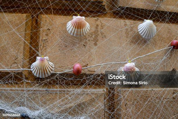 Closeup Of A Fishing Net Hanging On An Old Wall With Mediterranean Scallops Shells Rapallo Genoa Liguria Italy Stock Photo - Download Image Now