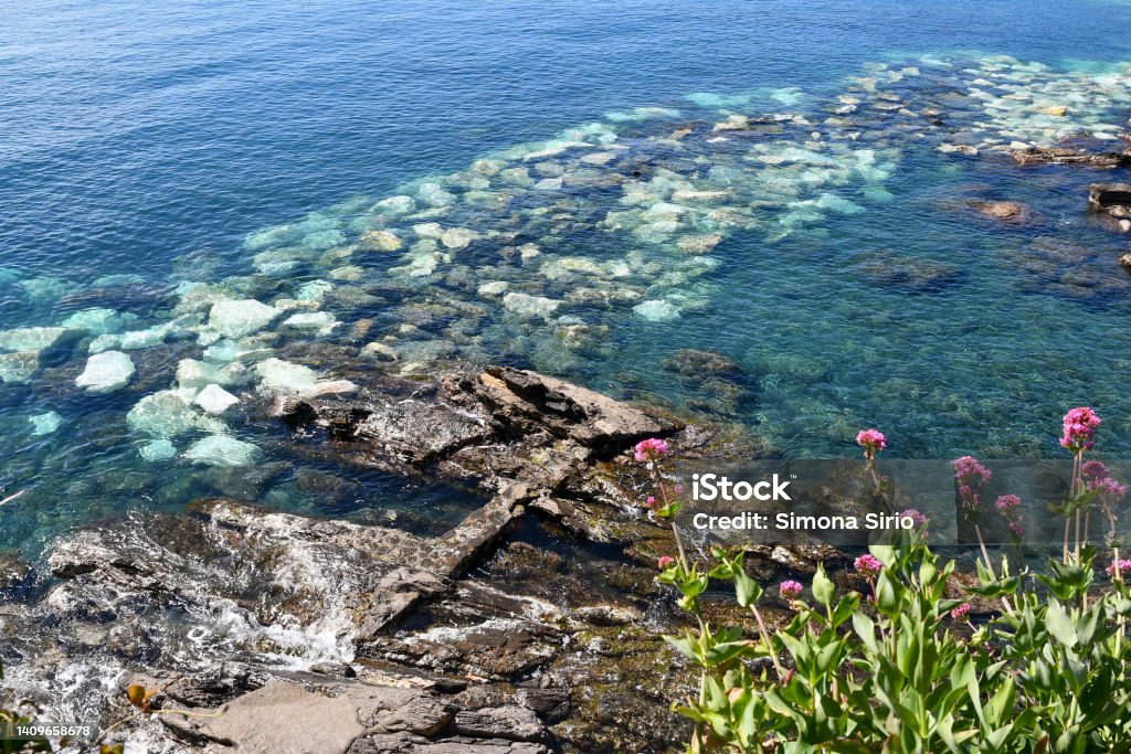 Elevated view of a cliff overlooking the sea with wild flowers and rocks, Rapallo, Genoa, Liguria, Italy Rapallo is a popular tourist destination of the Italian Riviera of Levante, in the province of Genoa. Cliff Stock Photo